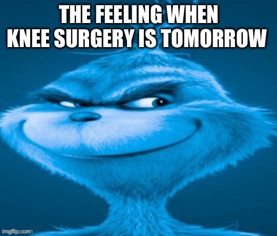 #memes | THE FEELING WHEN KNEE SURGERY IS TOMORROW | image tagged in knee surgery | made w/ Imgflip meme maker