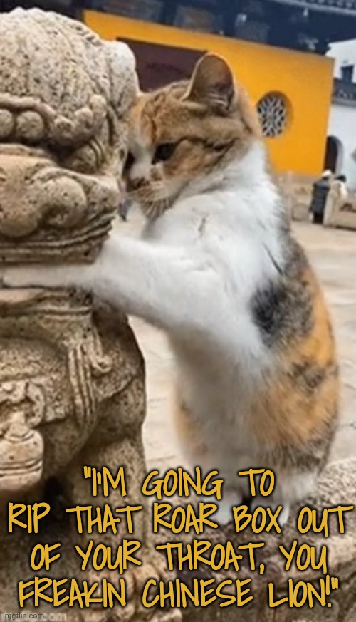 "I'M GOING TO RIP THAT ROAR BOX OUT OF YOUR THROAT, YOU FREAKIN CHINESE LION!" | made w/ Imgflip meme maker