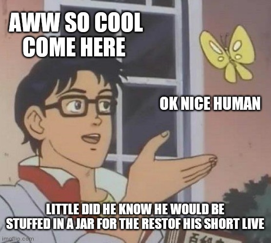 Is This A Pigeon Meme | AWW SO COOL COME HERE; OK NICE HUMAN; LITTLE DID HE KNOW HE WOULD BE STUFFED IN A JAR FOR THE RESTOF HIS SHORT LIVE | image tagged in memes,is this a pigeon | made w/ Imgflip meme maker