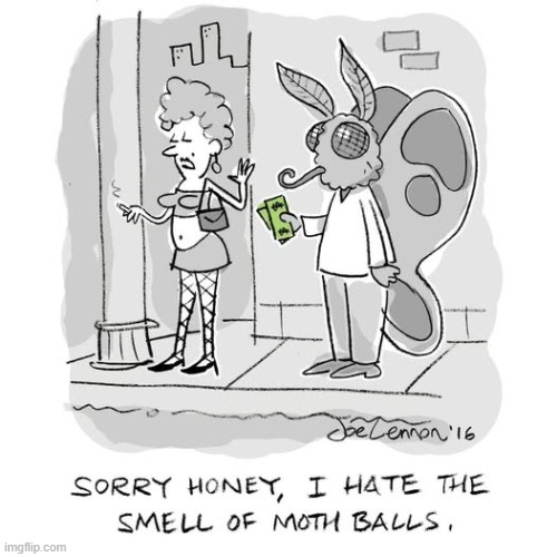 Even Call Girls have some Standards... | image tagged in vince vance,moth,hooker,prostitute,moth balls,cartoons | made w/ Imgflip meme maker