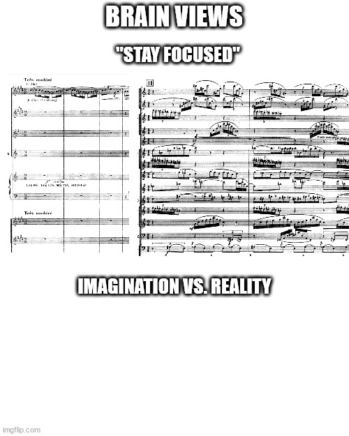 I will stay focused today | "STAY FOCUSED"; BRAIN VIEWS; IMAGINATION VS. REALITY | image tagged in work,focus,classical music | made w/ Imgflip meme maker