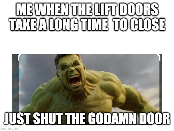 ? | ME WHEN THE LIFT DOORS TAKE A LONG TIME  TO CLOSE; JUST SHUT THE GODAMN DOOR | image tagged in memes | made w/ Imgflip meme maker