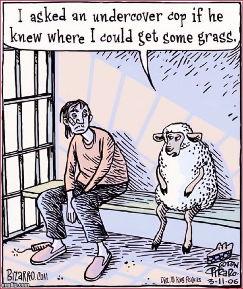 Lamb Chop... Busted for Grass | image tagged in vince vance,sheep,prison,cartoons,undercover cop,jail cell | made w/ Imgflip meme maker