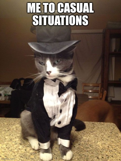 Formal Cat | ME TO CASUAL SITUATIONS | image tagged in formal cat | made w/ Imgflip meme maker