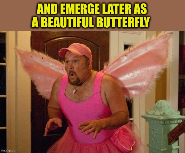 Tooth Fairy | AND EMERGE LATER AS A BEAUTIFUL BUTTERFLY | image tagged in tooth fairy | made w/ Imgflip meme maker