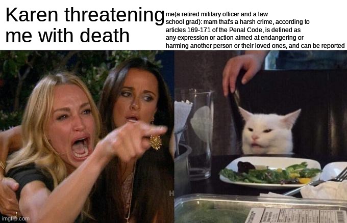 is this breaking the rules? | me(a retired military officer and a law school grad): mam that's a harsh crime, according to articles 169-171 of the Penal Code, is defined as any expression or action aimed at endangering or harming another person or their loved ones, and can be reported; Karen threatening me with death | image tagged in memes,woman yelling at cat | made w/ Imgflip meme maker