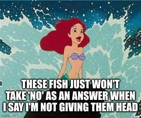 Ariel | THESE FISH JUST WON'T TAKE 'NO' AS AN ANSWER WHEN I SAY I'M NOT GIVING THEM HEAD | image tagged in ariel | made w/ Imgflip meme maker