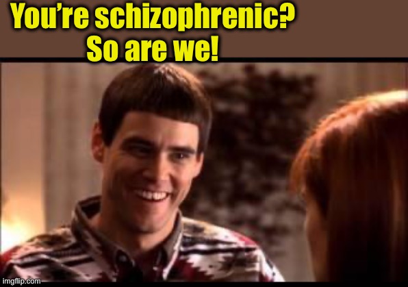 Dumb and dumber | You’re schizophrenic?
So are we! | image tagged in dumb and dumber | made w/ Imgflip meme maker