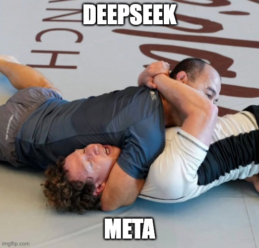 Zuckdown | DEEPSEEK; META | image tagged in mark zuckerberg,zuckerberg,meta,facebook | made w/ Imgflip meme maker