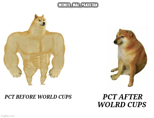 Funny meme | MEMES_MAI_PAKISTAN; PCT BEFORE WORLD CUPS; PCT AFTER WOLRD CUPS | image tagged in memes,buff doge vs cheems | made w/ Imgflip meme maker