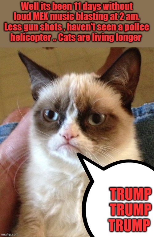 GRUMPY but getting happier. | Well its been 11 days without loud MEX music blasting at 2 am. Less gun shots , haven't seen a police helicopter .. Cats are living longer; TRUMP TRUMP TRUMP | image tagged in memes,grumpy cat | made w/ Imgflip meme maker