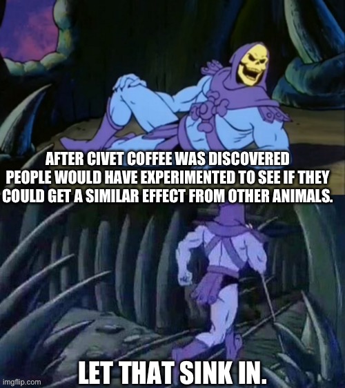 Skeletor disturbing facts | AFTER CIVET COFFEE WAS DISCOVERED PEOPLE WOULD HAVE EXPERIMENTED TO SEE IF THEY COULD GET A SIMILAR EFFECT FROM OTHER ANIMALS. LET THAT SINK IN. | image tagged in skeletor disturbing facts | made w/ Imgflip meme maker