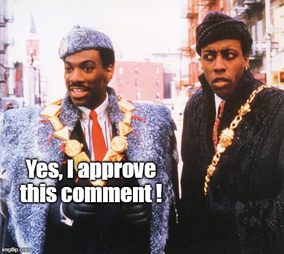 Yes, I approve this comment ! | made w/ Imgflip meme maker