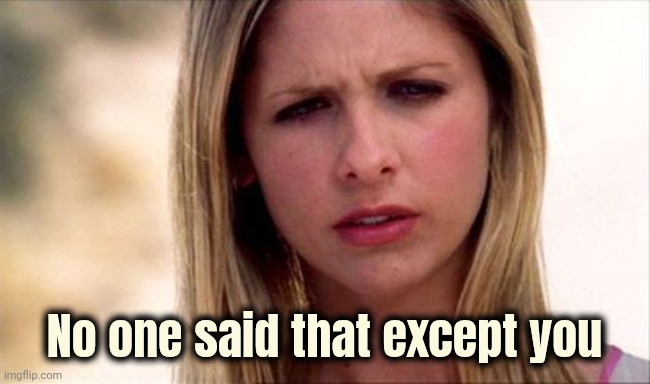 Buffy The Vampire Slayer WTF | No one said that except you | image tagged in buffy the vampire slayer wtf | made w/ Imgflip meme maker