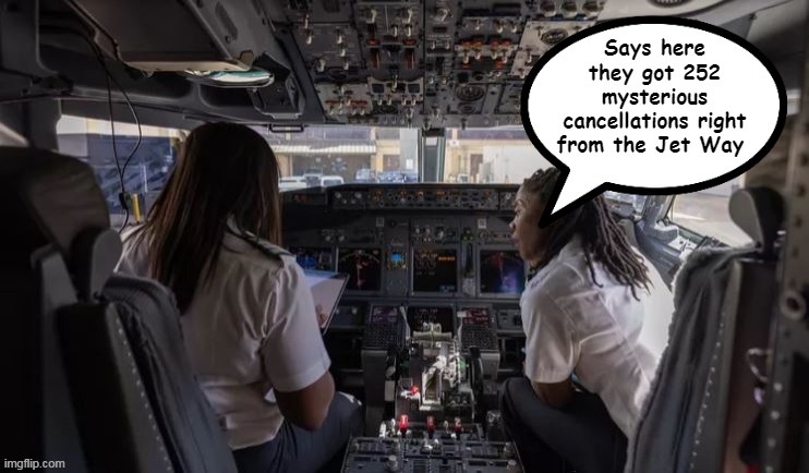 DEI Airlines | image tagged in cockpit canceled meme | made w/ Imgflip meme maker