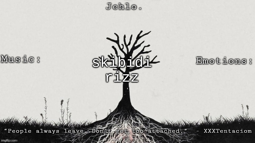 Jehlo Template. | skibidi rizz | image tagged in jehlo template | made w/ Imgflip meme maker