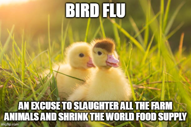 Government is a Criminal Organization | BIRD FLU; AN EXCUSE TO SLAUGHTER ALL THE FARM ANIMALS AND SHRINK THE WORLD FOOD SUPPLY | made w/ Imgflip meme maker