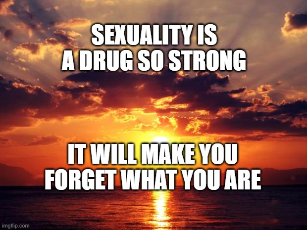 Sunset | SEXUALITY IS A DRUG SO STRONG; IT WILL MAKE YOU FORGET WHAT YOU ARE | image tagged in sunset | made w/ Imgflip meme maker