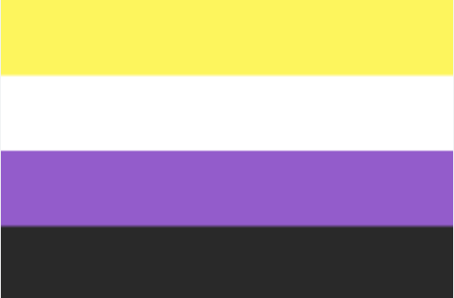 they/them flag Blank Meme Template