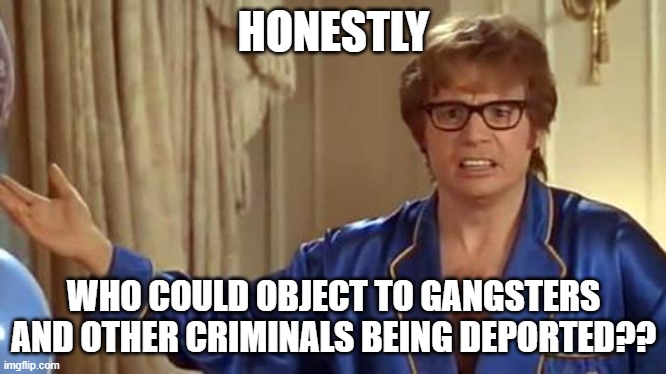 Austin Powers Honestly Meme | HONESTLY WHO COULD OBJECT TO GANGSTERS AND OTHER CRIMINALS BEING DEPORTED?? | image tagged in memes,austin powers honestly | made w/ Imgflip meme maker