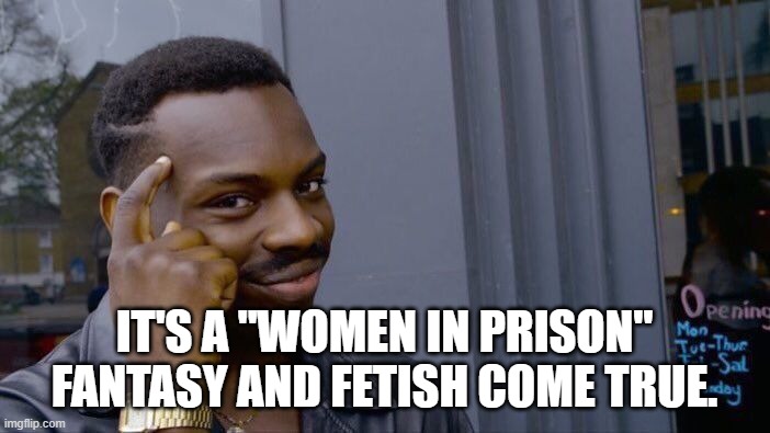 Roll Safe Think About It Meme | IT'S A "WOMEN IN PRISON" FANTASY AND FETISH COME TRUE. | image tagged in memes,roll safe think about it | made w/ Imgflip meme maker