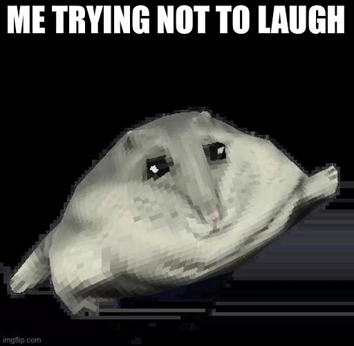 Florp | ME TRYING NOT TO LAUGH | image tagged in florp | made w/ Imgflip meme maker