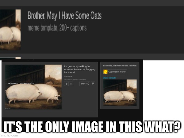 search brother may I have some oats and click the top one | IT'S THE ONLY IMAGE IN THIS WHAT? | image tagged in brother | made w/ Imgflip meme maker