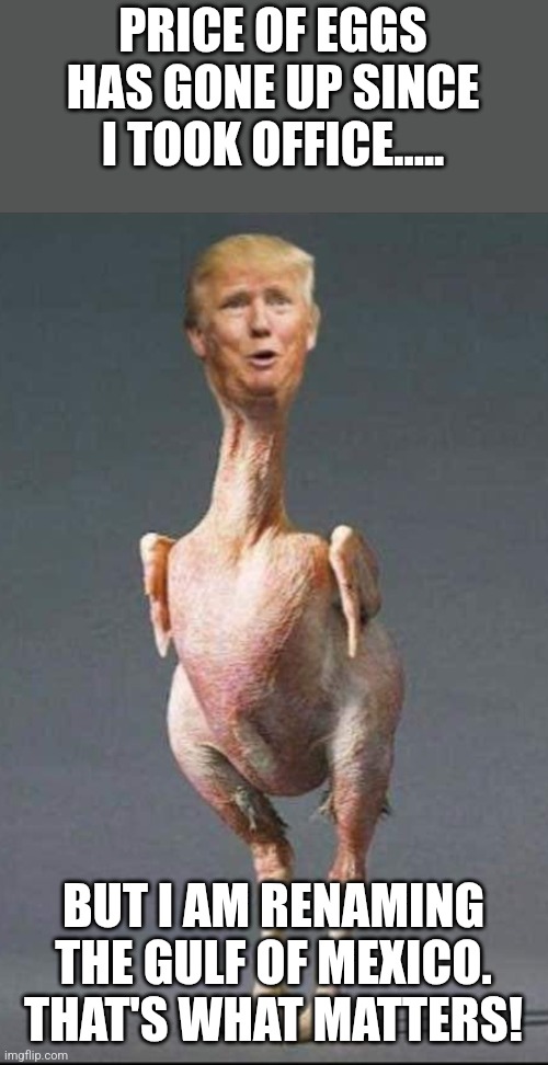 Trumpflation time! | PRICE OF EGGS HAS GONE UP SINCE I TOOK OFFICE..... BUT I AM RENAMING THE GULF OF MEXICO.
THAT'S WHAT MATTERS! | image tagged in donald trump,trump,maga,inflation,nevertrump,nevertrump meme | made w/ Imgflip meme maker