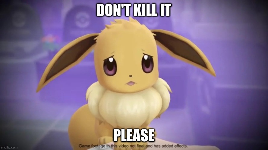 Sad Eevee | DON'T KILL IT PLEASE | image tagged in sad eevee | made w/ Imgflip meme maker