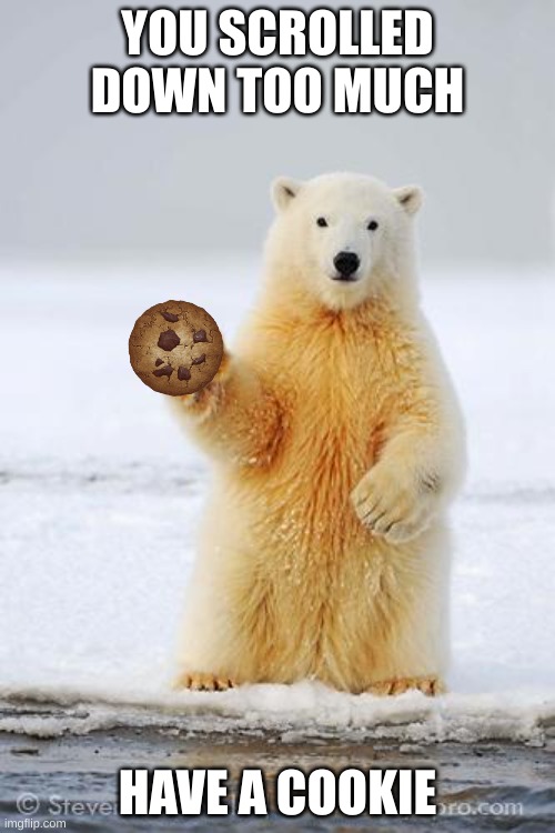 Hello humans | YOU SCROLLED DOWN TOO MUCH; HAVE A COOKIE | image tagged in hello polar bear,funny,cookies | made w/ Imgflip meme maker