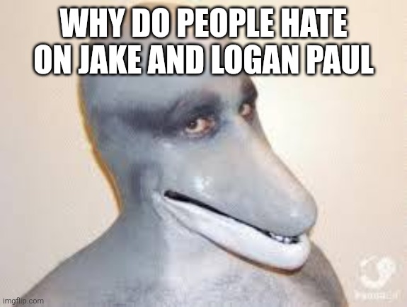 I'm not defending them but why | WHY DO PEOPLE HATE ON JAKE AND LOGAN PAUL | image tagged in dolphin guy | made w/ Imgflip meme maker