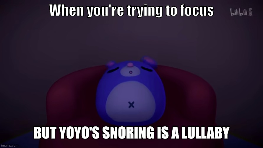 Yoyo snoring | When you're trying to focus; BUT YOYO'S SNORING IS A LULLABY | image tagged in yoyo sleeping again | made w/ Imgflip meme maker