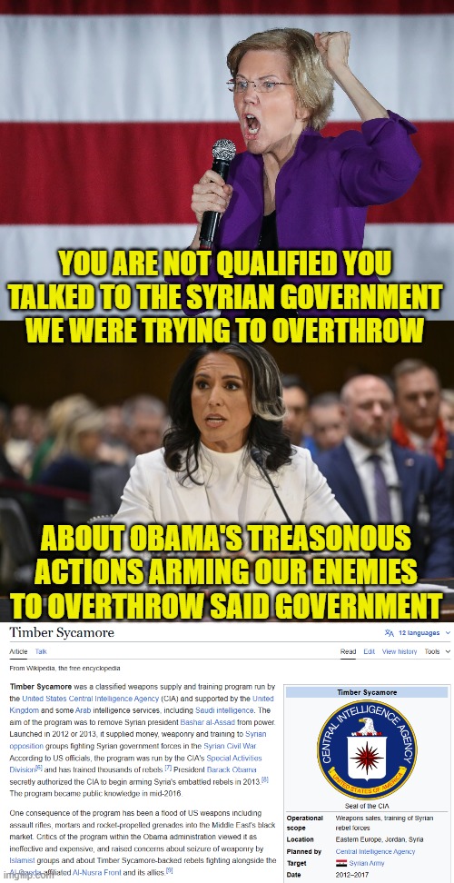 Tulsi points out Obama and Deep states treasonous actions to comity | YOU ARE NOT QUALIFIED YOU TALKED TO THE SYRIAN GOVERNMENT WE WERE TRYING TO OVERTHROW; ABOUT OBAMA'S TREASONOUS ACTIONS ARMING OUR ENEMIES TO OVERTHROW SAID GOVERNMENT | image tagged in deep state,treason,obama,syria,isis,maga | made w/ Imgflip meme maker