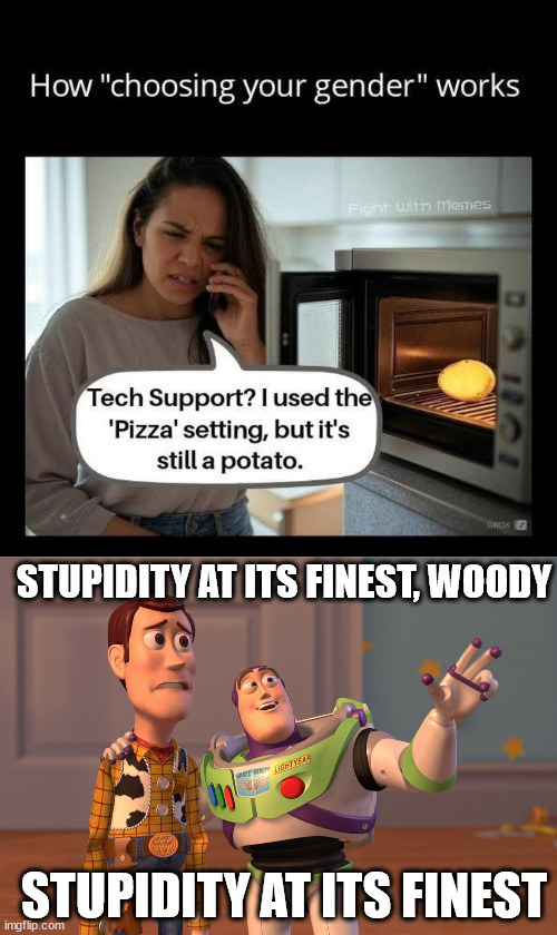 And the Darwin Award Goes to.... | STUPIDITY AT ITS FINEST, WOODY; STUPIDITY AT ITS FINEST | image tagged in memes,x x everywhere | made w/ Imgflip meme maker