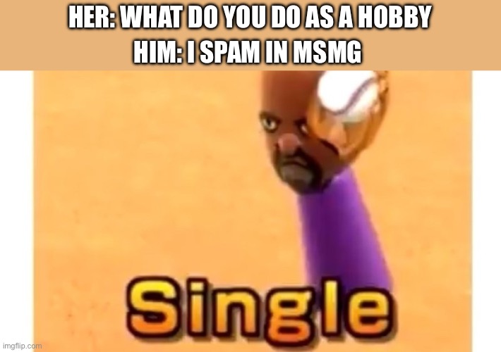 Imgflip red flags | HER: WHAT DO YOU DO AS A HOBBY; HIM: I SPAM IN MSMG | image tagged in wii sports single,tag 1,tag 2 | made w/ Imgflip meme maker