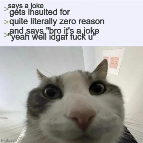 Cat looks inside | says a joke; gets insulted for quite literally zero reason and says "bro it's a joke; "yeah well idgaf fuck u" | image tagged in cat looks inside | made w/ Imgflip meme maker