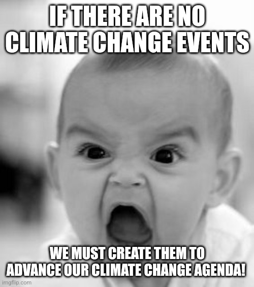 Angry Baby Meme | IF THERE ARE NO CLIMATE CHANGE EVENTS WE MUST CREATE THEM TO ADVANCE OUR CLIMATE CHANGE AGENDA! | image tagged in memes,angry baby | made w/ Imgflip meme maker