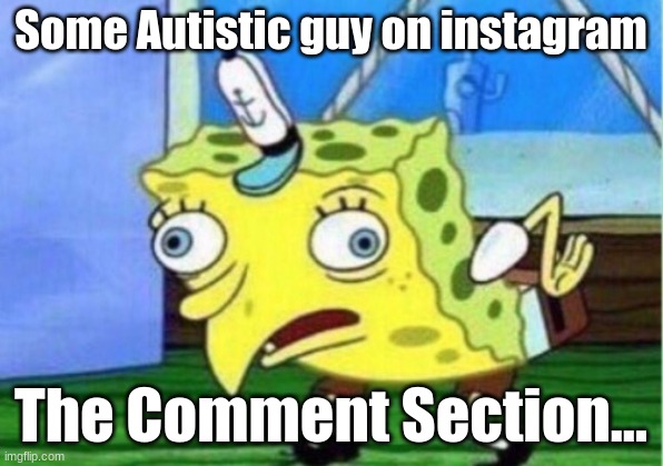 Them Comments are Crazy tho | Some Autistic guy on instagram; The Comment Section... | image tagged in memes,mocking spongebob,instagram,comment section,offensive,ylyl | made w/ Imgflip meme maker