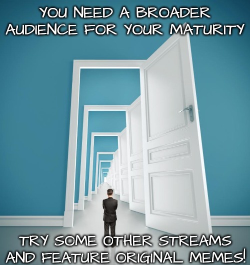 YOU NEED A BROADER AUDIENCE FOR YOUR MATURITY TRY SOME OTHER STREAMS AND FEATURE ORIGINAL MEMES! | made w/ Imgflip meme maker