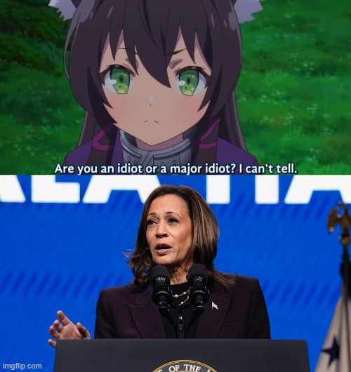 I can't tell. | image tagged in memes,politics,political meme,kamala harris,idiot,anime | made w/ Imgflip meme maker