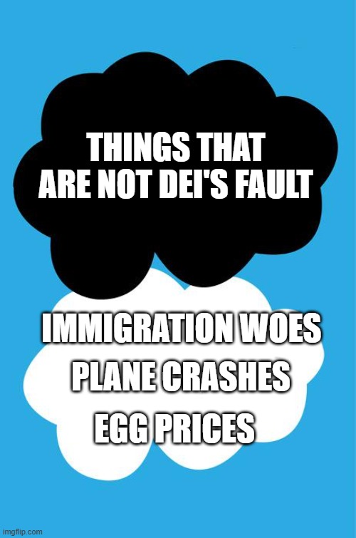 The fault in our stars | THINGS THAT ARE NOT DEI'S FAULT; IMMIGRATION WOES; PLANE CRASHES; EGG PRICES | image tagged in the fault in our stars | made w/ Imgflip meme maker