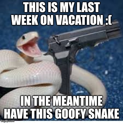 snake got gun | THIS IS MY LAST WEEK ON VACATION :(; IN THE MEANTIME HAVE THIS GOOFY SNAKE | image tagged in snake got gun | made w/ Imgflip meme maker