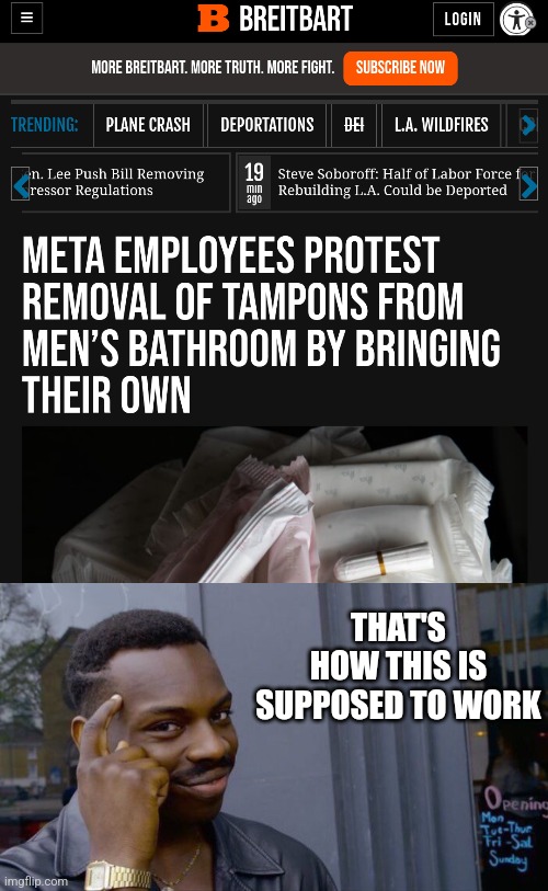 buy your own crap if you insist on LARPing as a dude | THAT'S HOW THIS IS SUPPOSED TO WORK | image tagged in memes,roll safe think about it | made w/ Imgflip meme maker