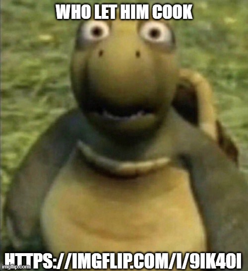 goofy ahh turtle | WHO LET HIM COOK; HTTPS://IMGFLIP.COM/I/9IK4OI | image tagged in goofy ahh turtle | made w/ Imgflip meme maker