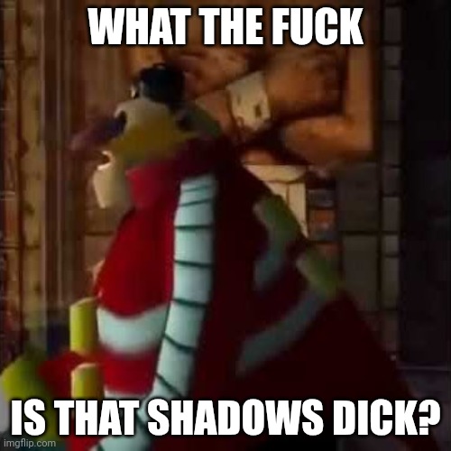 WHAT THE FUCK; IS THAT SHADOWS DICK? | image tagged in memes | made w/ Imgflip meme maker