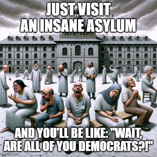 insane asylum with lunatic inmates | JUST VISIT AN INSANE ASYLUM AND YOU'LL BE LIKE: "WAIT, ARE ALL OF YOU DEMOCRATS?!" | image tagged in insane asylum with lunatic inmates | made w/ Imgflip meme maker