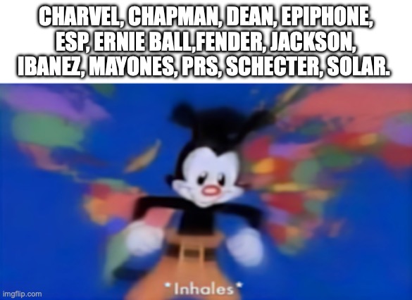 Yakko inhale | CHARVEL, CHAPMAN, DEAN, EPIPHONE, ESP, ERNIE BALL,FENDER, JACKSON, IBANEZ, MAYONES, PRS, SCHECTER, SOLAR. | image tagged in yakko inhale | made w/ Imgflip meme maker