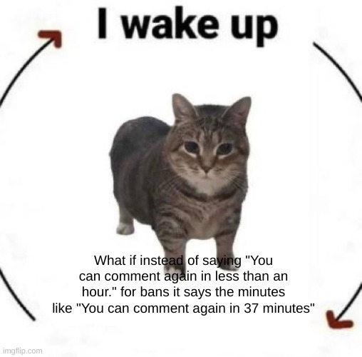 i wake up cat | What if instead of saying "You can comment again in less than an hour." for bans it says the minutes like "You can comment again in 37 minutes" | image tagged in i wake up cat | made w/ Imgflip meme maker