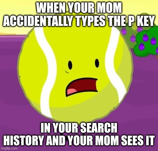 When your mom puts P into the keyboard and sees the search history | WHEN YOUR MOM ACCIDENTALLY TYPES THE P KEY; IN YOUR SEARCH HISTORY AND YOUR MOM SEES IT | image tagged in bfdi,tennis ball,you are in trouble now bud,pornhub,your mom,search history | made w/ Imgflip meme maker