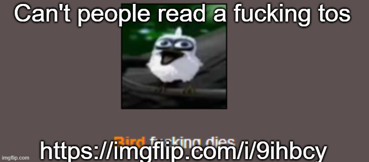 Bird dies | Can't people read a fuсking tos; https://imgflip.com/i/9ihbcy | image tagged in bird dies | made w/ Imgflip meme maker